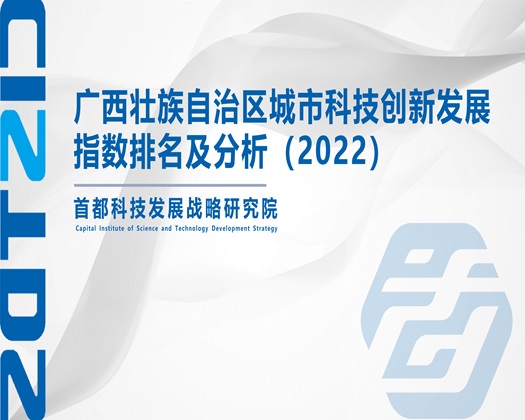 啊啊啊哦哦受不了啪啪免费播放【成果发布】广西壮族自治区城市科技创新发展指数排名及分析（2022）